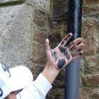 Should I use anti vandal paint